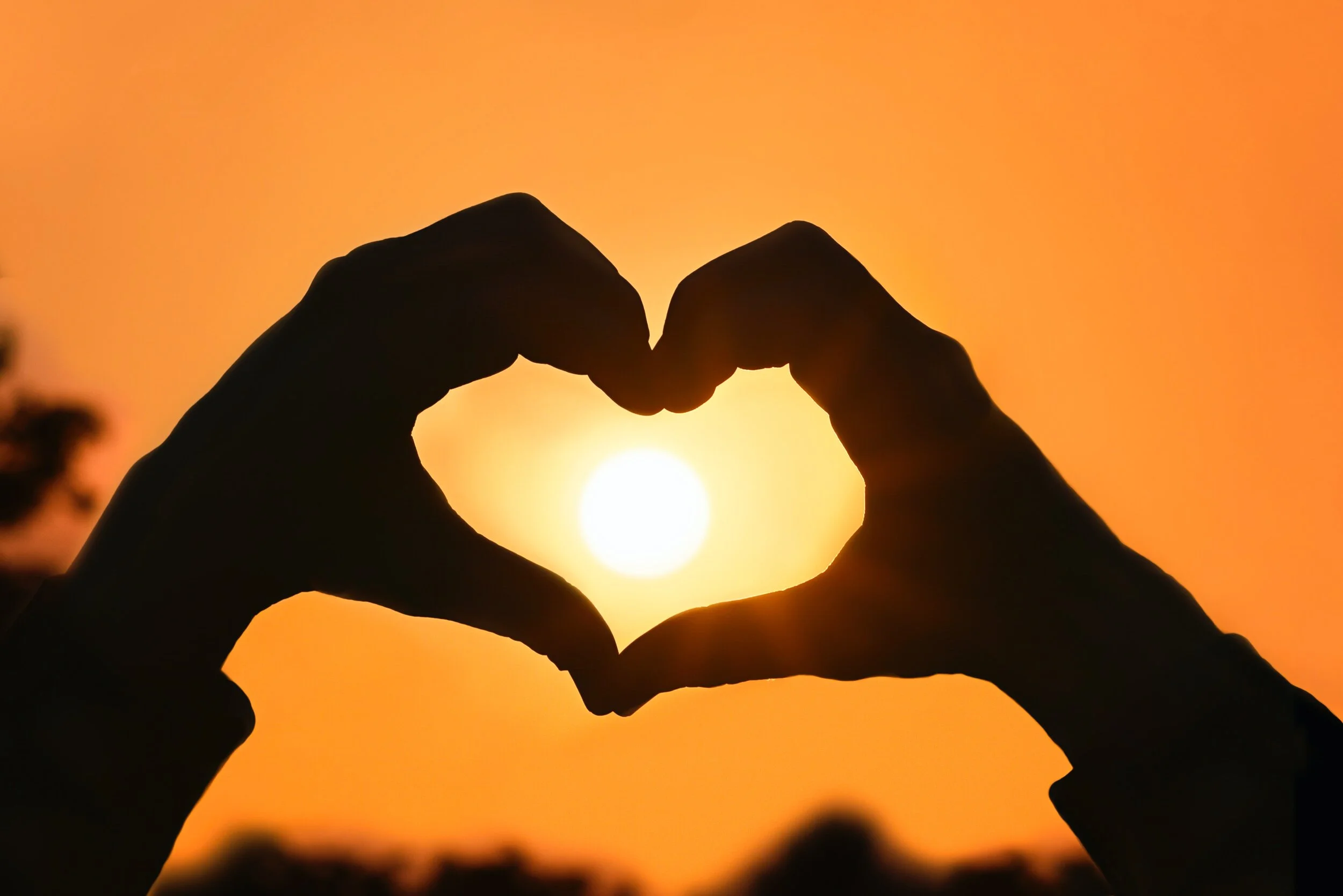 Wholehearted Leadership in a Time of Fragmentation