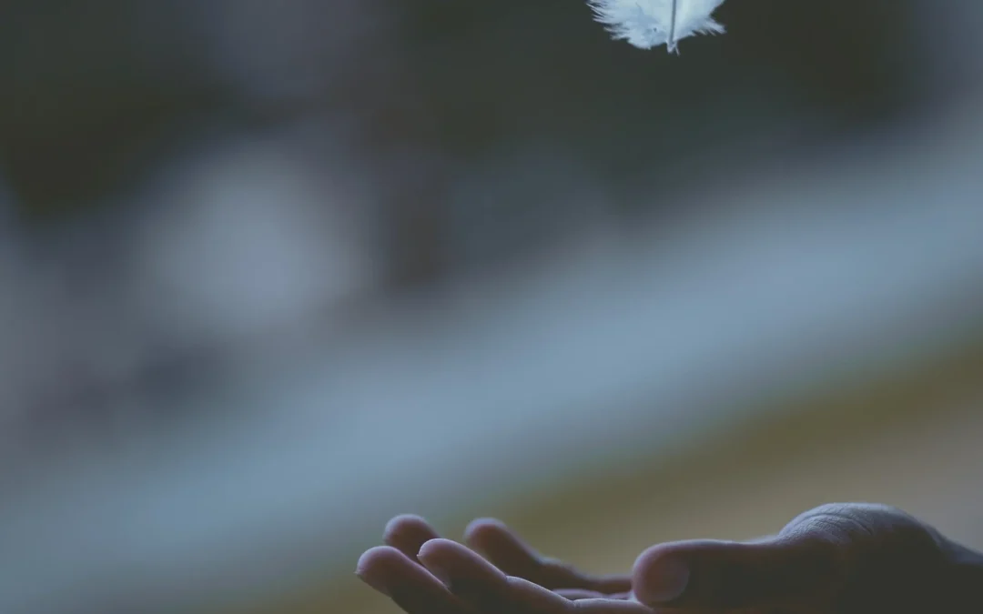Have You Fallen in Love with Potential?