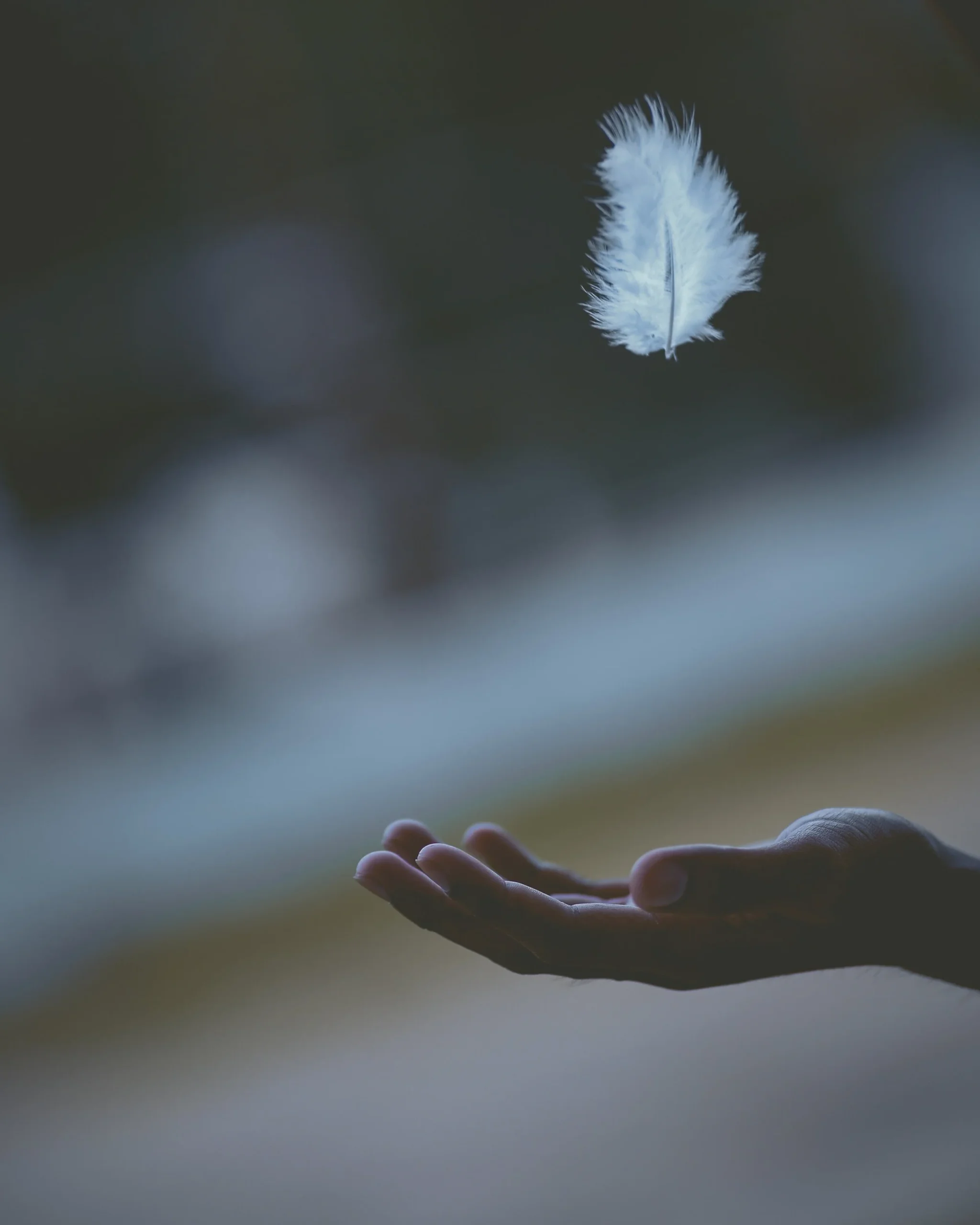 Have You Fallen in Love with Potential?