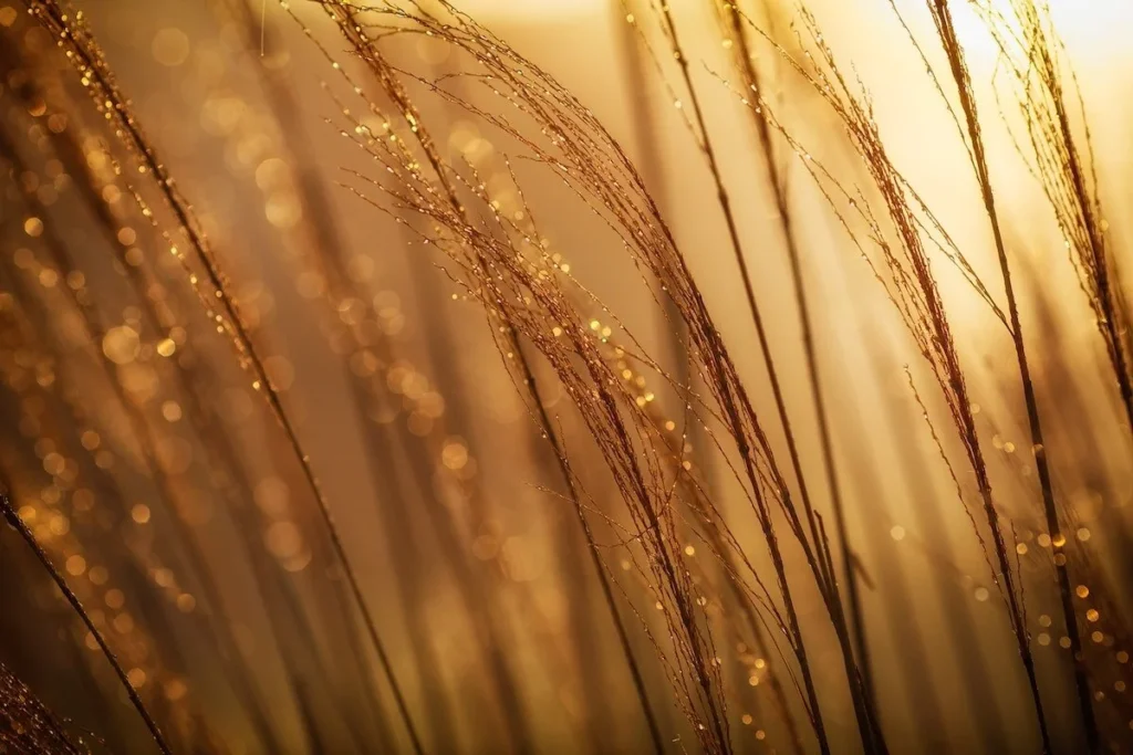 Mining for gold through the hero's journey of transformation and power reclamation