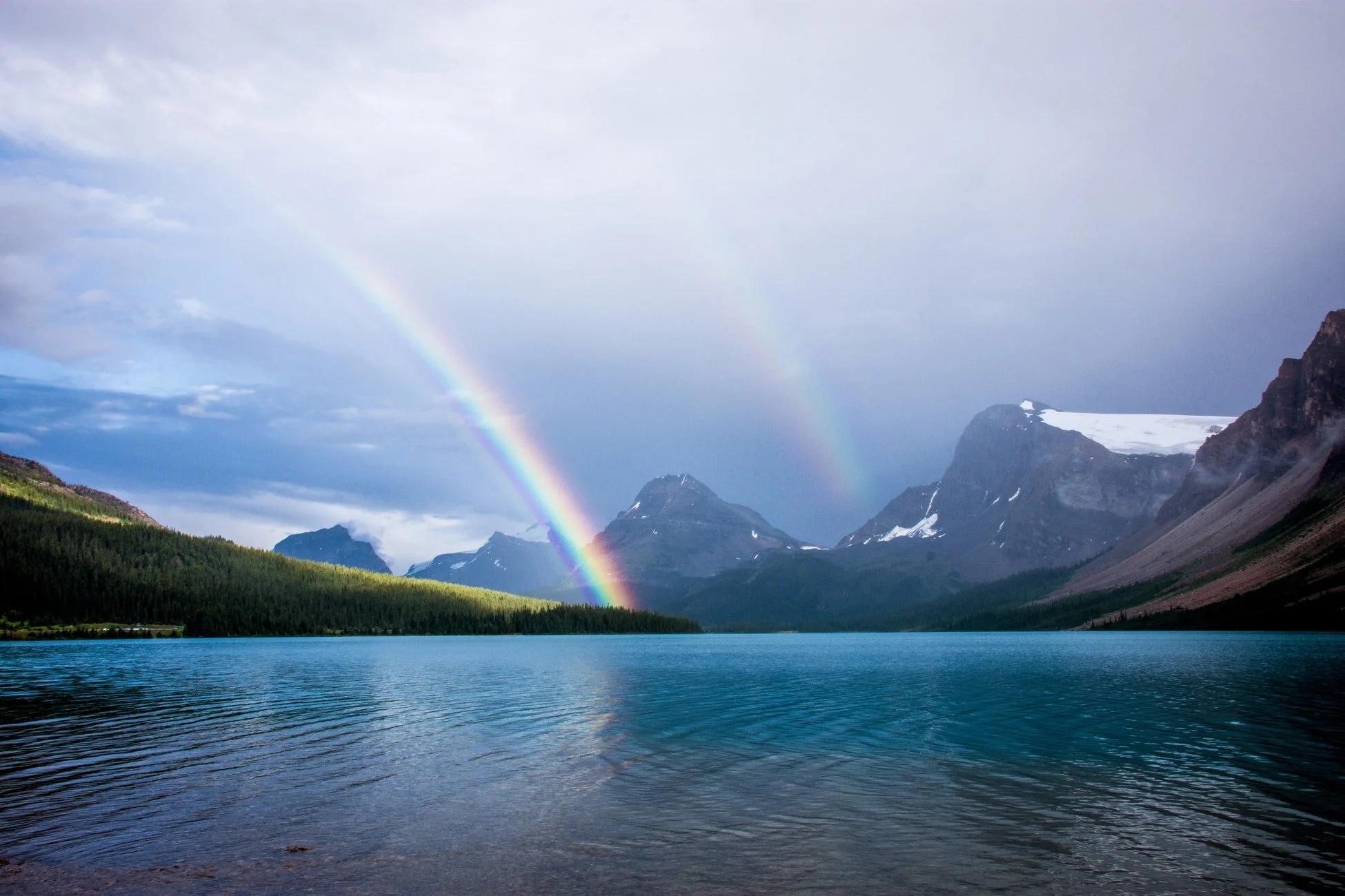 Reclaiming wild power through self-awareness and embodiment