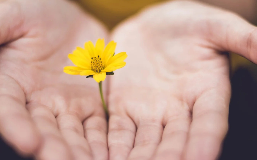Accepting Reality: A Powerful Form of Self-Love