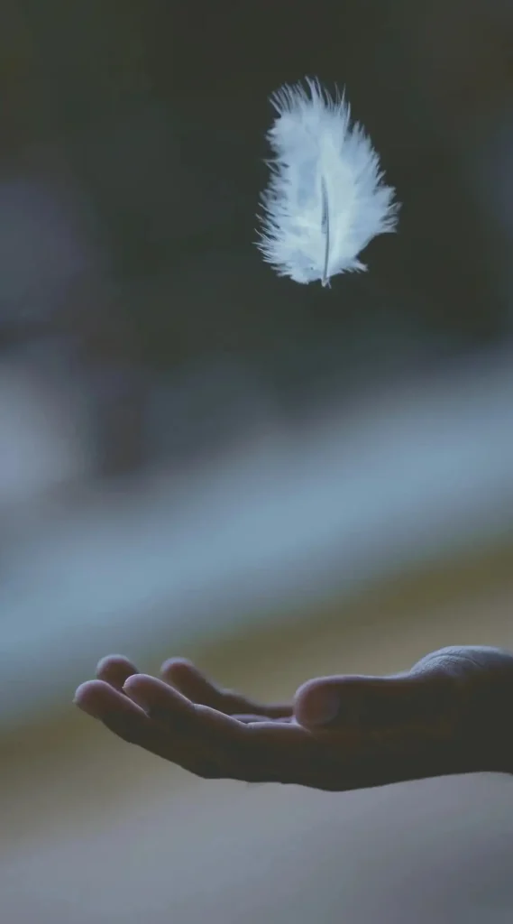 Belonging to yourself through grief, healing, and Own refuge 