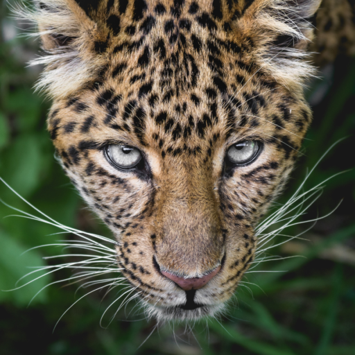 Reclaiming personal power through embodied leadership and self-awareness